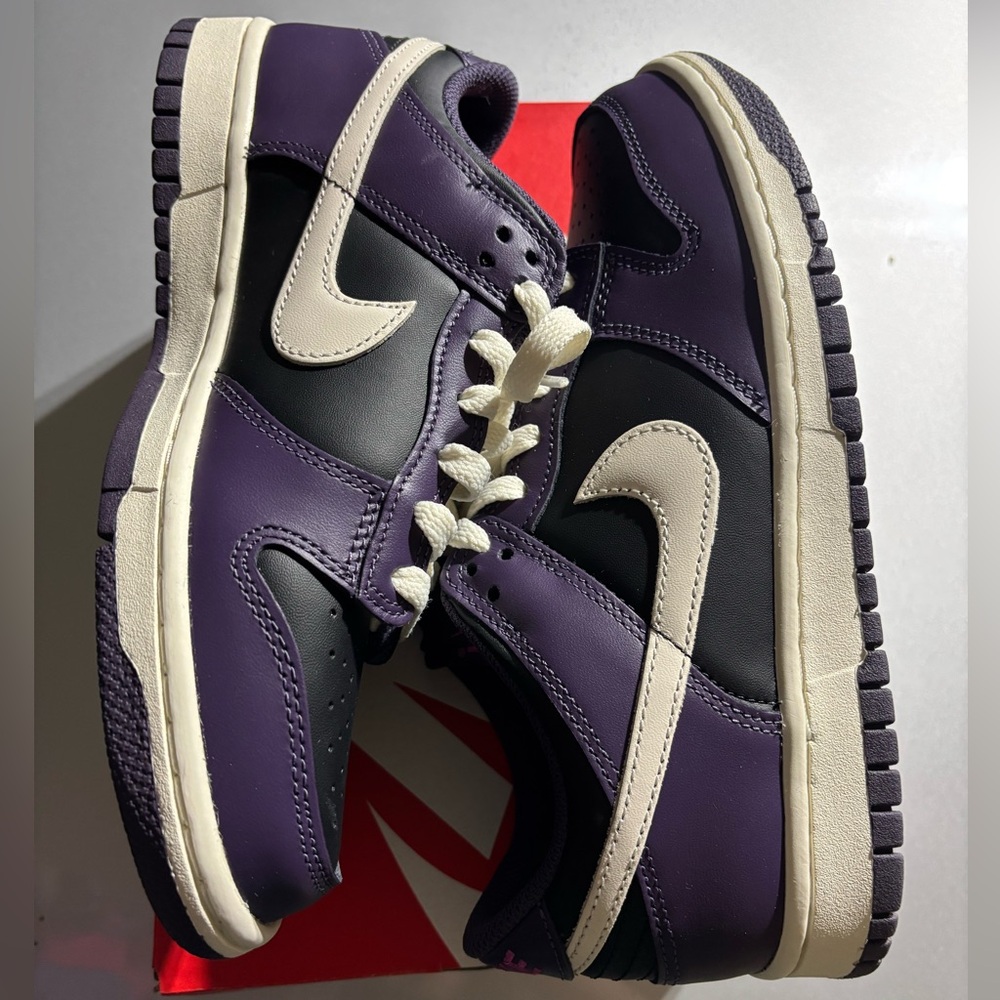 Nike Dunk Low Purple and Black Shoes